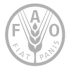 UN FAO RNE Logo