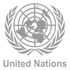 United Nations Logo